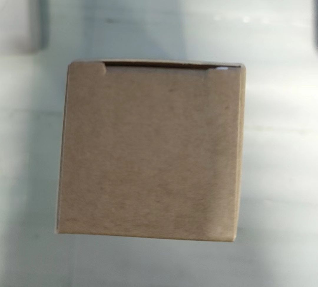 556005481